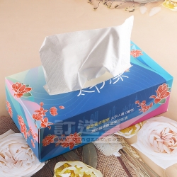 彩印盒裝紙巾 中國太平人壽（澳門）有限公司