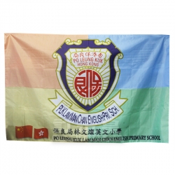 企業旗 保良局林文燦英文小學